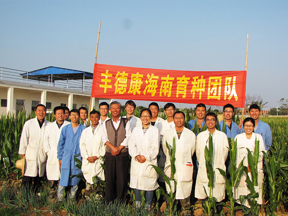 科研团队